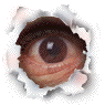 YEUX CONTACT